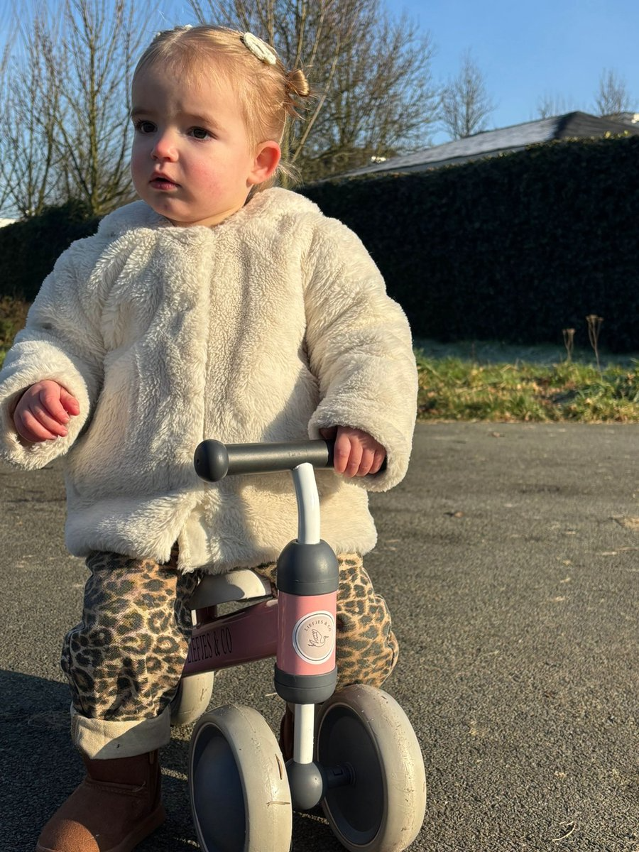 Liefjes & Co Balance Bike / Tricycle from 1 Year Pink Brand: Liefjes & Co  4.5/5 View 20 reviews