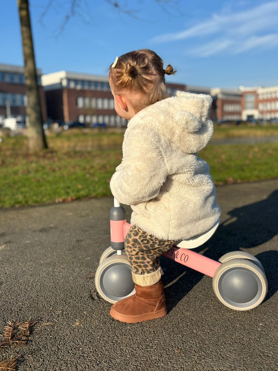 Liefjes & Co Balance Bike / Tricycle from 1 Year Pink